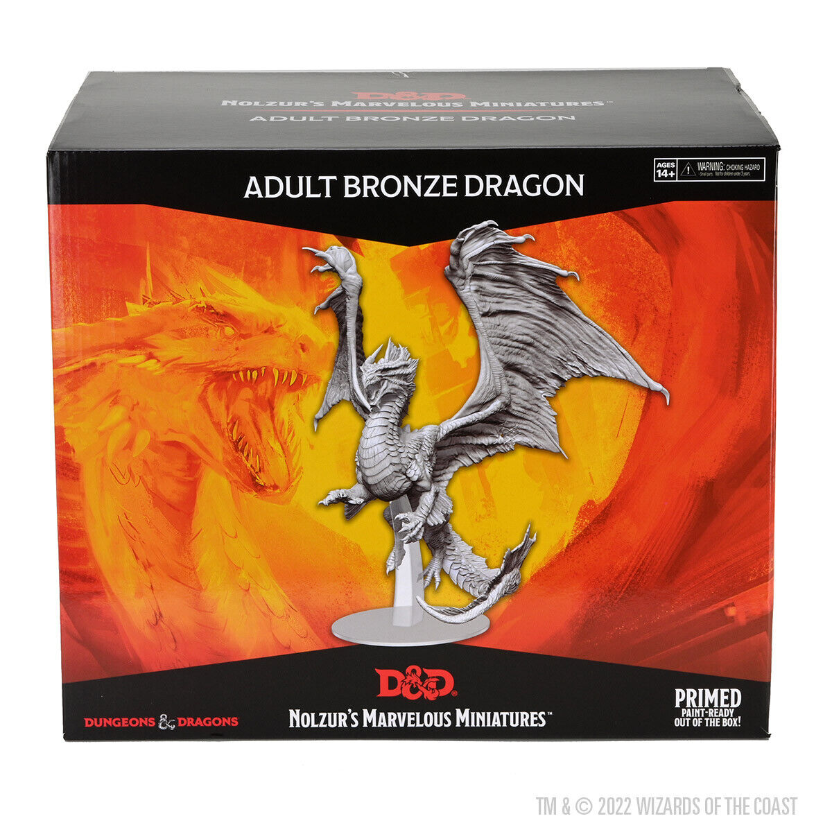 Adult Bronze Dragon